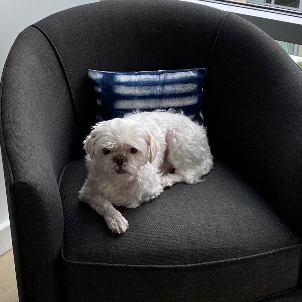 Meet your Posher, Susan